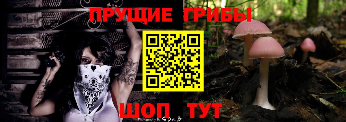 Галлюциногенные грибы Magic Shrooms Рузаевка