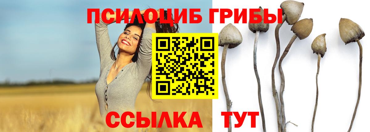 Рузаевка  Галлюциногенные грибы Magic Shrooms  Вход с VPN 
